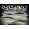 Beast Coast 4.15" Bladerunner